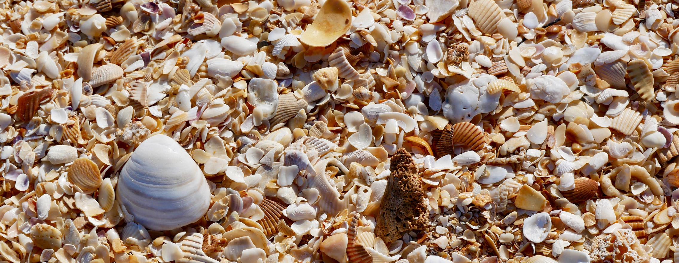 Conseils pour voyager et protéger les océans