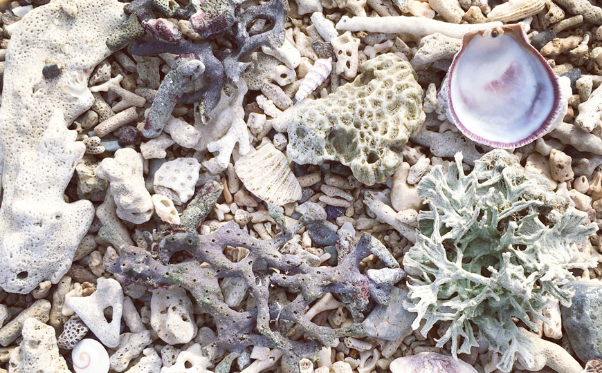 Conseil : Voyager responsable